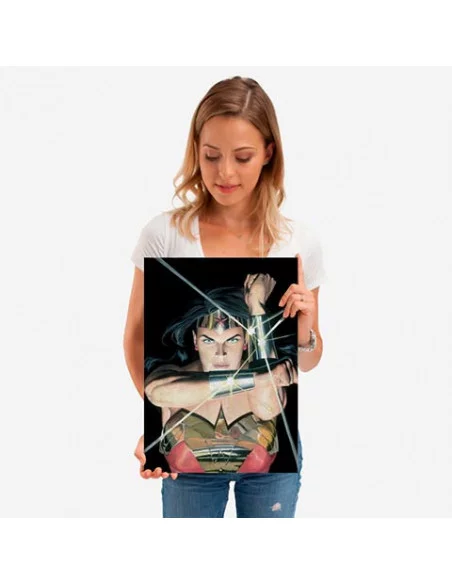 es::DC Comics Póster de metal Wonder Woman Trinidad DC - Alex Ross 45 x 32 cm