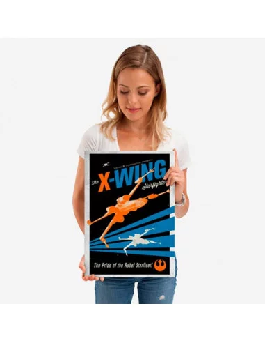 es::Star Wars Póster de metal The Pride of the Rebel Starfleet 45 x 32 cm