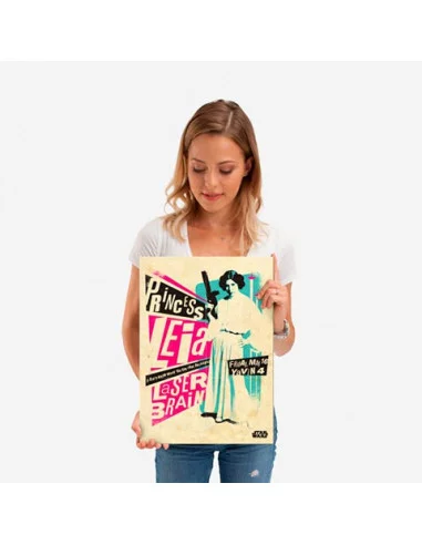 es::Star Wars Póster de metal Princess Leia 45 x 32 cm