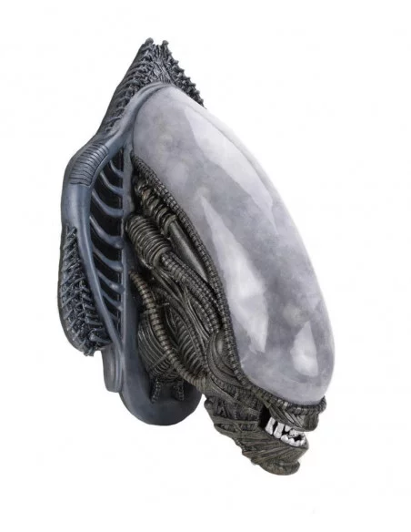 es::Alien Trofeo para colgar en la pared Xenomorph goma espuma/látex 78 cm