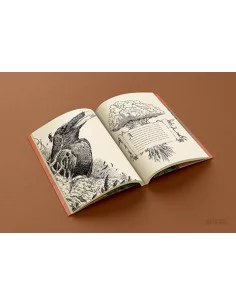 es::Roro el Príncipe Gato y el Corazón de la Montaña 2