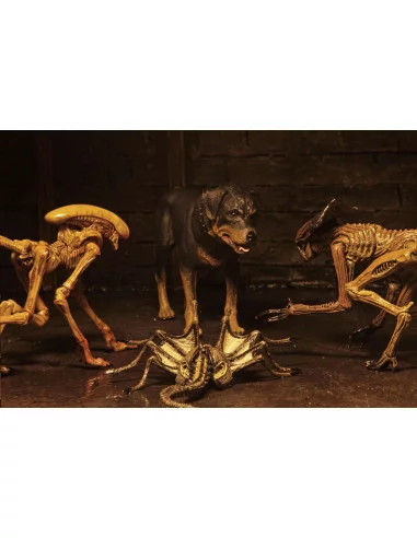 es::Alien 3 Pack Accesorios para Figuras Creature Accessory Pack.