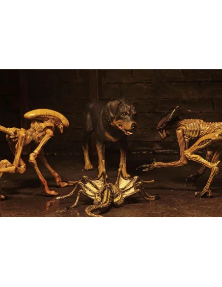 es::Alien 3 Pack Accesorios para Figuras Creature Accessory Pack.