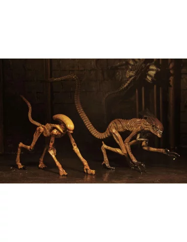 es::Alien 3 Pack Accesorios para Figuras Creature Accessory Pack.