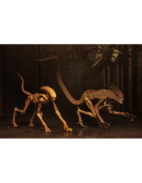 es::Alien 3 Pack Accesorios para Figuras Creature Accessory Pack.