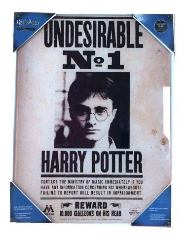es::Harry Potter Póster de vidrio Indeseable nº 1 30 x 40 cm