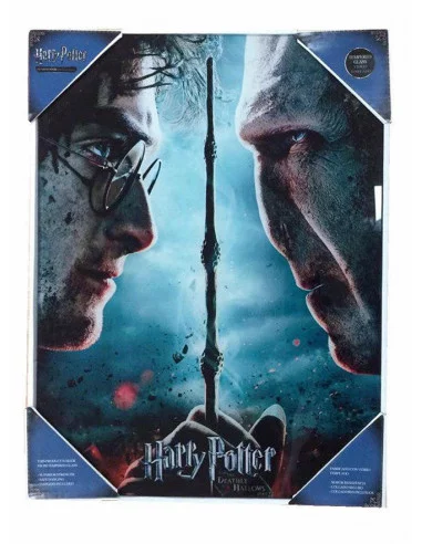 es::Harry Potter Póster de vidrio Harry vs Voldemort 30 x 40 cm