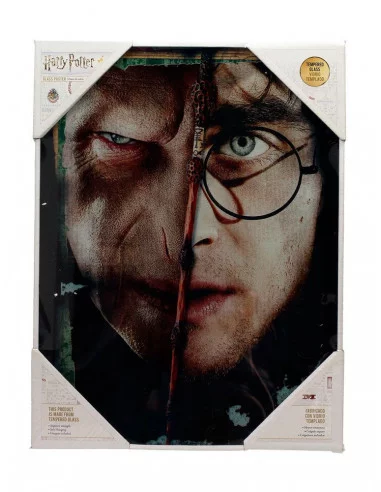 es::Harry Potter Póster de Vidrio Harry & Voldemort 30 x 40 cm