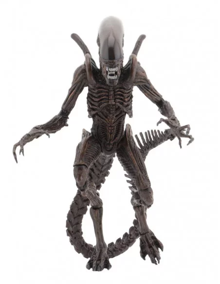 es::Aliens Figura Serie 14 Warrior Alien 22 cm