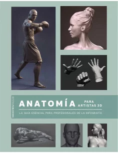 es::Anatomía para artistas 3D