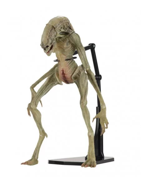 es::Alien Resurrección Figura Deluxe Newborn 28 cm