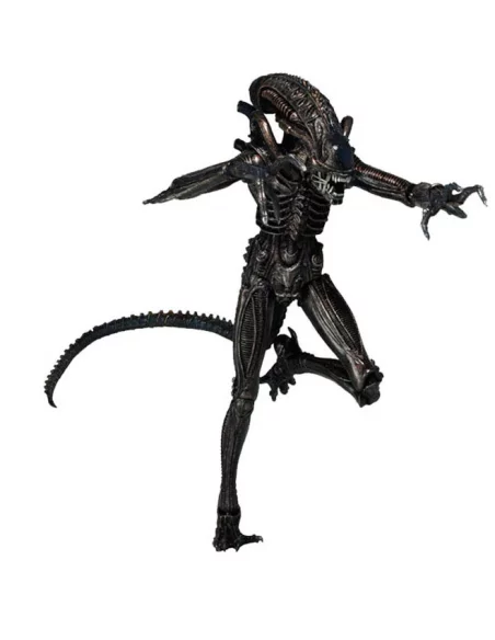 Aliens Serie 5: Figura Genocide Alien Black-10