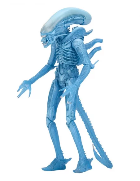 es::Aliens Serie 11 Figura Warrior Alien Kenner 23 cm