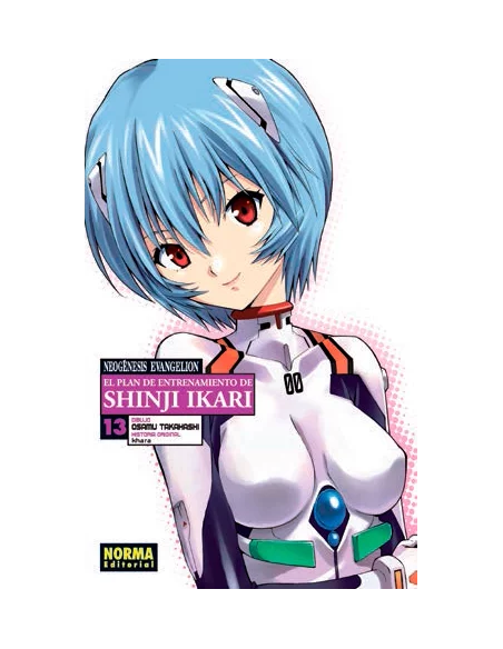 Neogénesis Evangelion 13. El plan de entrenamiento-10