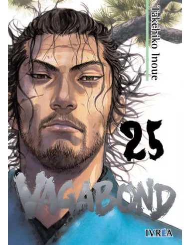 Vagabond 25-10