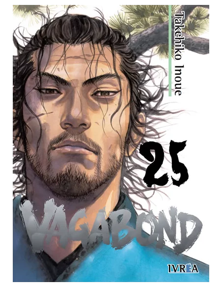 Vagabond 25-10
