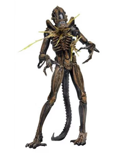 es::Aliens Serie 12 Figura Battle Damaged Warrior Brown 23 cm