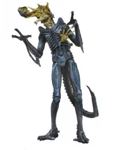 es::Aliens Serie 12 Figura Battle Damaged Warrior Blue 23 cm
