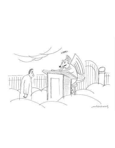 El mundo de Mick Stevens-11