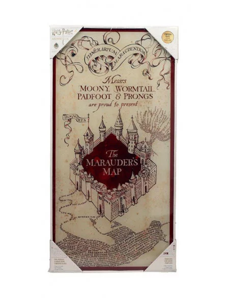 Harry Potter Póster de Vidrio Marauder\'s Map 30 x -10