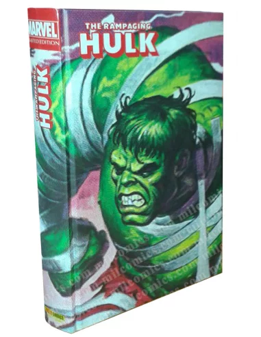 The Rampaging Hulk - Marvel Limited Edition-10