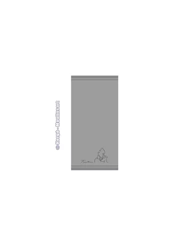 es::PAREJA DE TOALLAS TINTÍN Y MILÚ: COLOR GRIS