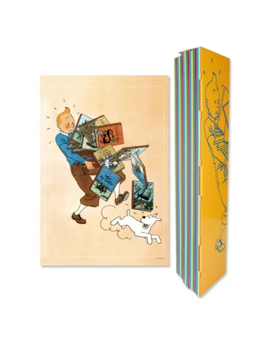 es::Póster Tintín y los álbumes