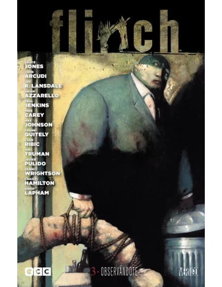 es::Flinch 03 de 3: Observándote